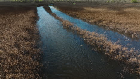 Geese-Flying-Above-Pond-In-Bell-Slough-Wildlife-Area-In-Arkansas,-USA---Drone-Shot