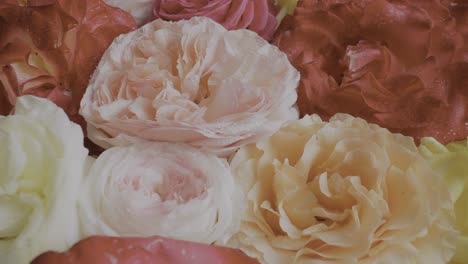 Ein-Strauß-Lebendiger,-Mehrfarbiger-Rosen,-Die-Liebe-Und-Zuneigung-Symbolisieren,-Erinnert-An-Romantische-Blüten-Und-Verleiht-Räumen-Schönheit-Und-Emotionale-Resonanz