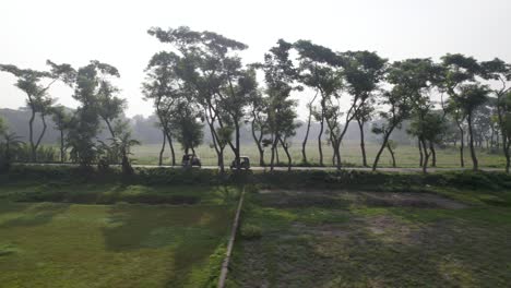 Vehículo-De-Tres-Ruedas-Tuktuk-Corriendo-Con-Pasajeros-En-Zonas-Rurales-De-Bangladesh