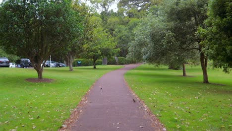 First-person-POV-walking-in-green-urban-recreational-park-with-cars-parked-Cornwall-Park