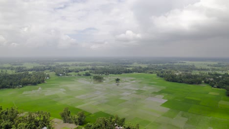 Schöne-Grüne-Ländliche-Landschaft-Reisfelder-Mit-Schönen-Himmel-Luftaufnahme-Lust-Grün-Bangladesch