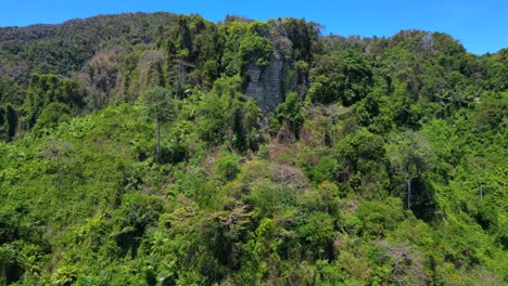 Untouched-natureInaccessible-Terra-nature-jungle-mountains