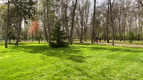 Wir-Sehen-Einen-Gartenbereich-Mit-Frisch-Geschnittenem-Gras-Und-Einer-Großen-Vielfalt-An-Bäumen,-Die-Ihre-Ersten-Grünen-Triebe-Austreiben-Und-Eine-Vielzahl-Von-Farben-Aufweisen.-Feldwege-Mit-Menschen,-Die-An-Einem-Frühlingsmorgen-Spazieren-Gehen.