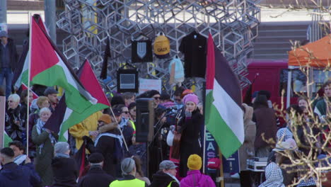 Un-Músico-En-Helsinki-Toma-Un-Descanso-En-Una-Manifestación-Por-El-Alto-El-Fuego-En-Palestina