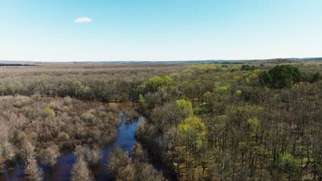 Panoramic-View-Over-Wetlands-And-Trees-In-Bell-Slough-Wildlife-Area,-AR,-USA---Drone-Shot