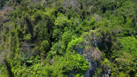 Unberührte-Naturunzugängliche-Terra-Natur-Dschungel-Berge