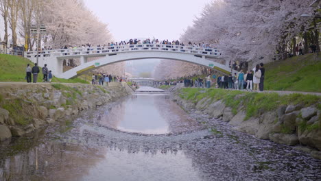 People-On-The-Bridge-And-Walking-Paths-In-Yangjae-Citizens-Forest-Park-During-Spring-In-Seocho,-Seoul,-South-Korea