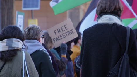 Woman-at-political-rally-in-Helsinki-holds-up-placard:-Free-Palestine