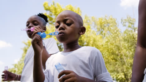 Kids-at-the-park