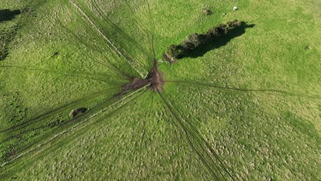 Circling-drone-footage-around-cow-worn-path-on-farm