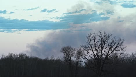 Smoke-in-the-distance-rising-over-a-tree-line,-sped-up