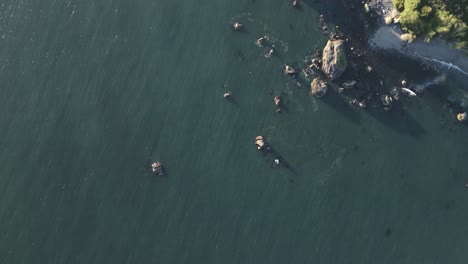 Drone-top-down-view-reveal-secluded-Oregon-beach-from-coastal-rock-formations