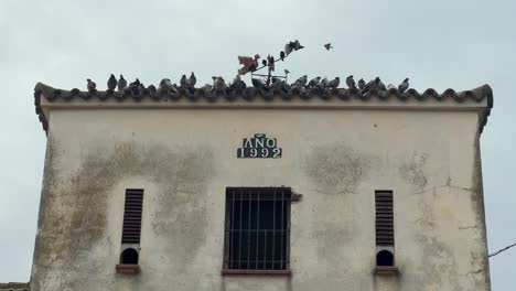 Perched-on-the-aged-and-weathered-structure,-birds-congregate-against-the-backdrop-of-a-cloudy-sky,-evoking-a-sense-of-nostalgia-and-rustic-charm,-reminiscent-of-bygone-eras-and-vintage-allure