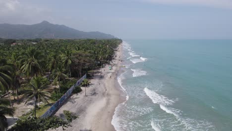 Luftaufnahme-Des-Strandes-Von-Palomino-Und-Den-Palmenhainen,-Kolumbien