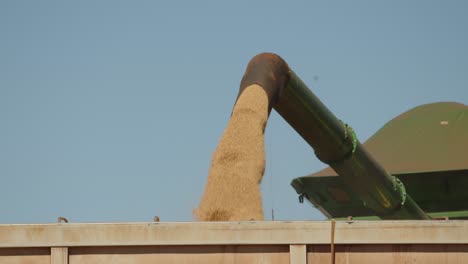 Harvesters-unloading-soybeans-in-Brazil