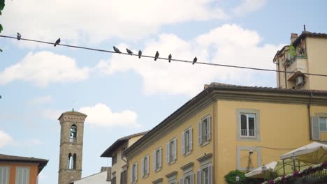 bird-perched-on-power-line-cable-with-medieval-background-old-town-on-Italy