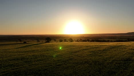 Atemberaubender-Sonnenuntergang-über-Viktorianischem-Feld