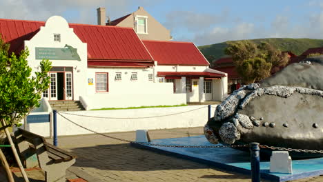 Kultige-Walskulptur-Vor-Dem-Historischen-Hermanus-Whale-Museum,-Statische-Aufnahme