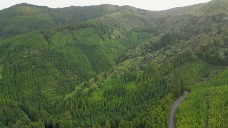 Grüne-Gelassenheit:-Die-Grüne-Landschaft-Der-Natur-Erkunden