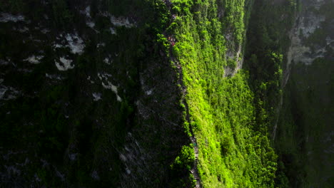 Cumbre-De-Piedra-Caliza,-Roca-Y-Vegetación