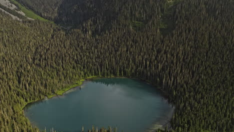 Lower-Joffre-Lake-BC-Canada-Aerial-v4-birds-eye-view-drone-capturing-beauty-of-nature,-turquoise-blue-lake-surrounded-by-dense-forests,-mountains-and-glaciers---Shot-with-Mavic-3-Pro-Cine---July-2023