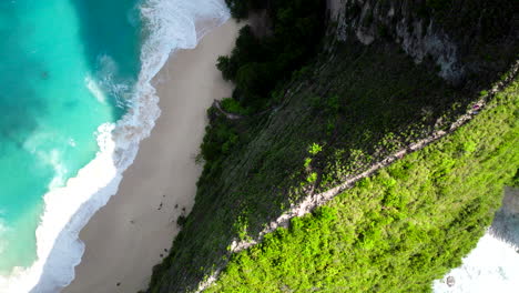 Sandy-white-beach,-incoming-ocean-tide,-lush-vegetation,-hiking-vacation
