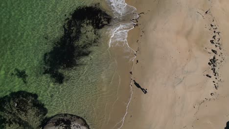 Walking-by-shore-on-sandy-Scottish-beach---Camas-an-Lighe---top-down-aerial