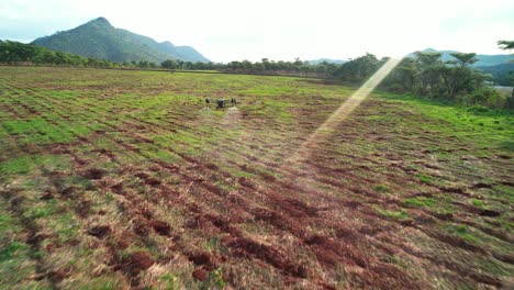 Drone-Agrícola-Rociando-Un-Campo
