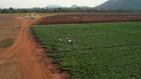 Dji-Agras-T40-drone-spraying-potato-crop