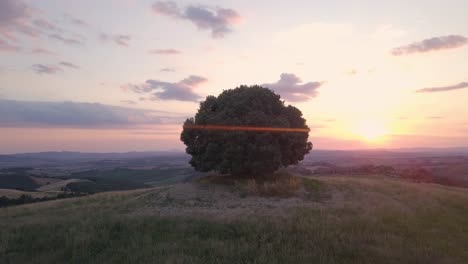 Toscana-Italia-Europa,-Drone-Al-Atardecer-Con-Un-árbol-Aislado-En-La-Cima-De-Una-Colina-Rural-Con-Una-Vista-Impresionante