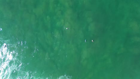 Vista-Aérea-De-Drones-De-Surfistas-Esperando-Olas-Del-Océano-Agua-Mar-Deportes-Extremos-Punto-De-Ruptura-En-La-Playa-De-Midigama-Sri-Lanka-Asia-Viajes-Turismo