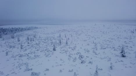 Aerial-view-over-snowy-wilderness-on-a-arctic-fell,-foggy,-overcast-day,-in-Lapland