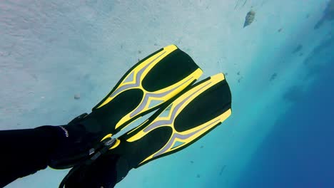 Un-Buzo-Con-Traje-De-Neopreno-Negro-Y-Aletas-Con-Reflejos-Amarillos-Está-Tomando-Una-Foto-De-Sus-Aletas-Mientras-Flota-Sobre-Un-Fondo-Marino-Arenoso-Con-Arrecifes-De-Coral-En-Aguas-Azules-Cristalinas-En-Un-Día-Soleado