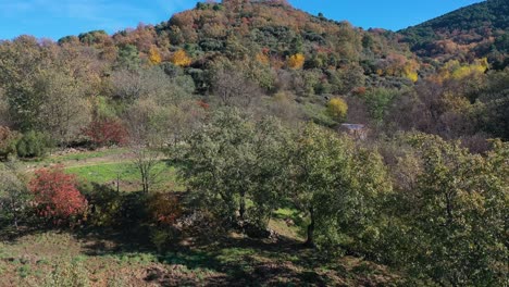 Vuelo-De-Drones-En-Ascenso-Con-árboles-Viendo-Una-Finca-Rural-Con-Su-Cortijo,-Su-Camino-Y-Muros-De-Piedra-En-Un-Ambiente-Otoñal-Con-Su-Diversidad-De-Colores-Rojos,-Amarillos,-Marrones-Y-Verdes-En-Avila,-España