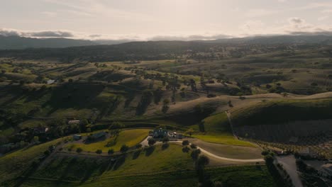 Flying-Over-Rolling-Hills-and-Vineyards-in-Santa-Ynez-Wine-Country,-California-Sunset-on-Horizon-with-Luxury-Estates-Nestled-into-Farmland