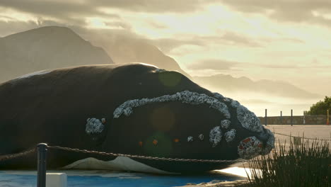 Whale-sculpture-lit-up-by-beautiful-golden-hour-morning-light-in-Hermanus