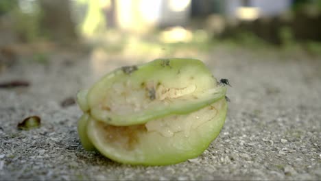 Spoiled-fallen-starfruit-averrhoa-carambola-on-the-ground-with-flies-flying-and-sitting-around,-closeup