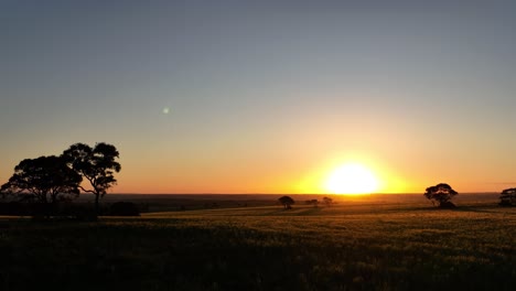 Niedriger-Winkel-Des-Sonnenuntergangs-Beleuchteten-Feldes