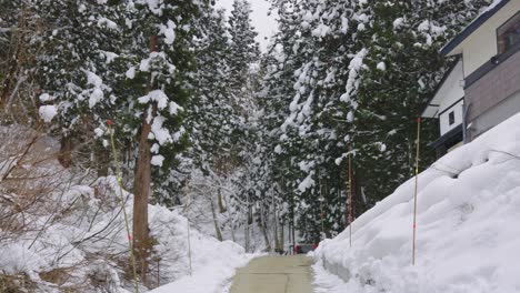 Japanese-Forest-in-the-Winter-Snowy-Landscape-Scene