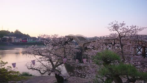 Spring-in-Japan,-Sunrise-over-Kintaikyo-and-Sakura-at-Dawn,-4k-Pan-Shot