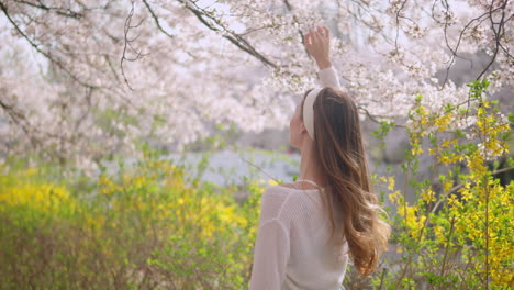 Mujer-Tocando-Flores-De-Cerezo-En-Un-Día-Ventoso-En-El-Parque-Forestal-Ciudadano-De-Yangjae-En-Seocho,-Seúl,-Corea-Del-Sur