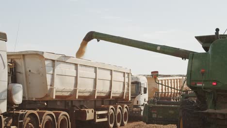 Harvesters-unloading-soybeans-in-Brazil