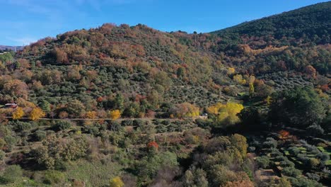 Ascending-flight-with-a-drone-on-a-small-hill-in-autumn-with-its-diversity-of-vegetation-and-colors,-seeing-a-road-and-mountains-appearing-in-the-distance-with-a-blue-sky-in-Avila,-Spain