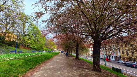 Toma-En-Primera-Persona-Caminando-Por-Un-Hermoso-Parque-Europeo-En-Un-Barrio-Antiguo