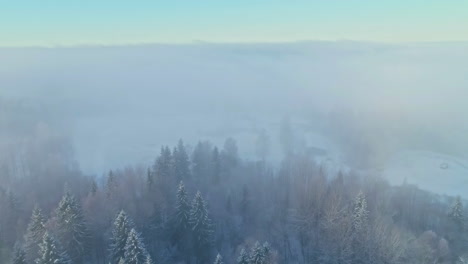Aerial-view-of-dense-winter-morning-fog-over-forest
