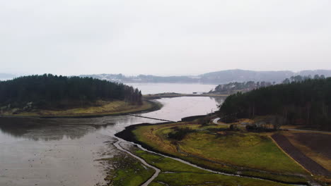 Boreal-coastal-landscape-and-peaceful-strait-in-Scandinavian-nature,-Drone-footage