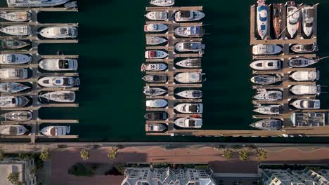 Top-Down-View-Of-Yachts-In-The-Marina,-Marina-Del-Rey,-Los-Angeles,-California---Drone-Shot