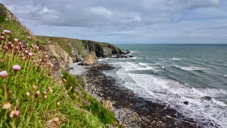 Seascape-Seapinks-Sobre-El-Borde-Del-Acantilado-Mares-Torqoise-Y-Cielos-Azules-Suaves-Olas-Wite-Costa-De-Waterford-Irlanda-Tarde-De-Primavera