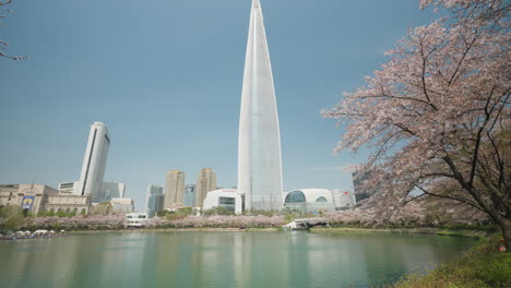 Lotte-World-Tower-Skyscraper-During-Cherry-Blossom-Season-in-Seoul---Tilt-up-from-Seokchon-Lake-Shore