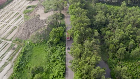 Cargo-Truck-driving-down-a-straight-asphalt-highway-through-a-Forest